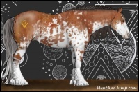 Horse Color:Brown Sabino  and Bay Sabino Rabicano 