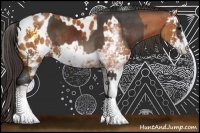 Horse Color:Brown Sabino  and Bay Sabino Appaloosa 