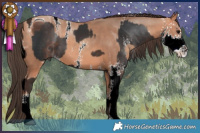 Horse Color:ERROR: UNKNOWN ANOMALY and ERROR: UNKNOWN ANOMALY