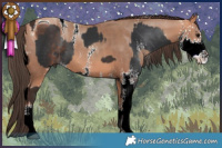 Horse Color:ERROR: UNKNOWN ANOMALY and ERROR: UNKNOWN ANOMALY