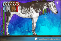 Horse Color:Painted Nacre Midnight Chocolate Buckskin Dun Sabino and Painted Nacre Midnight Chocolate Bay Dun Sabino