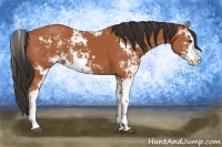 Horse Color:Bay Sabino  and Bay Sabino 