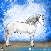 Horse Color:Chocolate Silver Brown Chinchilla Ice Onyx Sabino