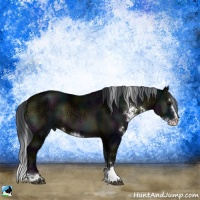 Horse Color:Midnight Brown Ice Onyx Sabino