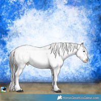 Horse Color:Midnight Brown Ice Onyx Sabino 