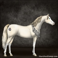 Horse Color:Buckskin Roan Pearl and Buckskin Roan Pearl Splash