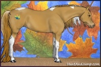 Horse Color:Chestnut Tobiano 