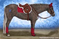 Horse Color:Black and Silver Black