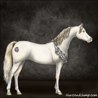 Horse Color:Buckskin Roan Pearl  and Buckskin Roan Pearl Splash 