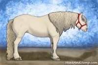 Horse Color:Smoky Creme 