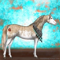 Horse Color:Red Dun Splash  and Red Dun Splash 