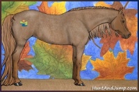 Horse Color:Red Roan 