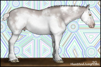 Horse Color:Gray Platinum White Spotted Silver Classic Champagne Dun Splash Frame