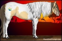 Horse Color:Amber Cream Champagne Tobiano