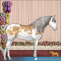 Horse Color:White Spotted Silver Amber Cream Champagne Splash