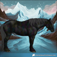 Horse Color:Midnight Black 