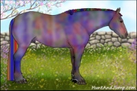 Horse Color:Painted Nacre Bay 