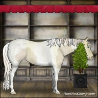 Horse Color:Smoky Creme Roan Tobiano 