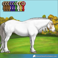 Horse Color:White Spotted Classic Cream Champagne Ice Rabicano