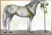 Horse Color:White Spotted Silver Black Chinchilla Ice Tobiano 