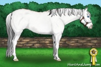 Horse Color:White Spotted Bay Dun Splash 