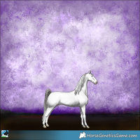 Horse Color:Blue Onyx Sabino Snowcap Rabicano 