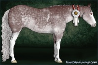 Horse Color:White Spotted Chocolate Silver Black Chinchilla 