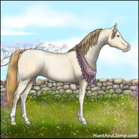 Horse Color:Buckskin Ice Pearl 