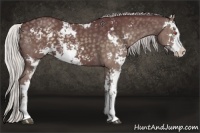 Horse Color:Chocolate Silver Smoky Black Chinchilla Sabino