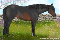 Horse Color:Brown 