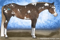 Horse Color:White Spotted Liver Chestnut Splash 