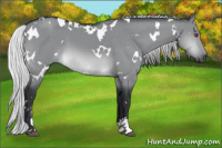 Horse Color:White Spotted Silver Brown Chinchilla Dun Sabino