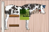 Horse Color:White Spotted Liver Chestnut Splash 