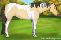 Horse Color:Buckskin Roan Tobiano 