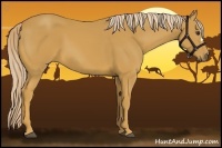 Horse Color:Palomino 