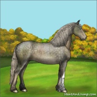 Horse Color:Chocolate Palomino 