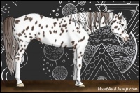 Horse Color:Liver Chestnut Leopard 
