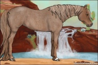 Horse Color:Red Roan 