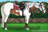 Horse Color:Silver Brown Splash Tobiano Blanket 