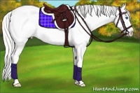 Horse Color:Silver Perlino Sabino Splash Appaloosa
