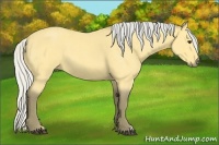 Horse Color:Silver Buckskin Roan 