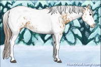 Horse Color:Bay Splash Tobiano Blanket and Bay Splash Tobiano Snowcap