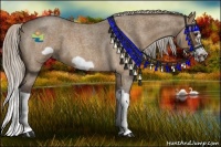 Horse Color:Silver Brown Roan Dun Splash Frame 