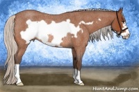 Horse Color:Silver Bay Roan Frame Rabicano
