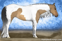 Horse Color:Bay Roan Dun Tobiano