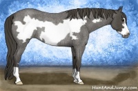 Horse Color:Smoky Blue Roan Frame Rabicano