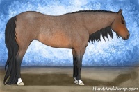 Horse Color:Bay Roan Rabicano 