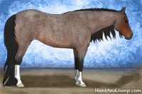 Horse Color:Gray Bay Roan Varnish