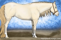 Horse Color:Buckskin Roan Pearl 