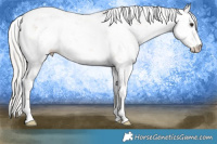 Horse Color:Silver Brown Dun Sabino Rabicano 